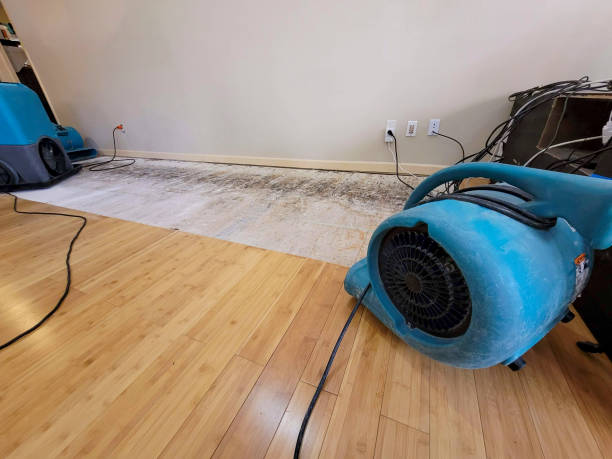 Professional Sewage Cleanup technician working in Itasca, IL